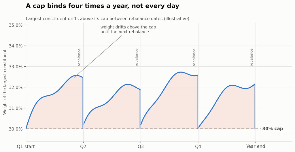 Illustrative chart of the largest constituent's weight in a capped index. It drifts above a 30% cap between quarterly rebalance dates, then is pulled back to the cap.
